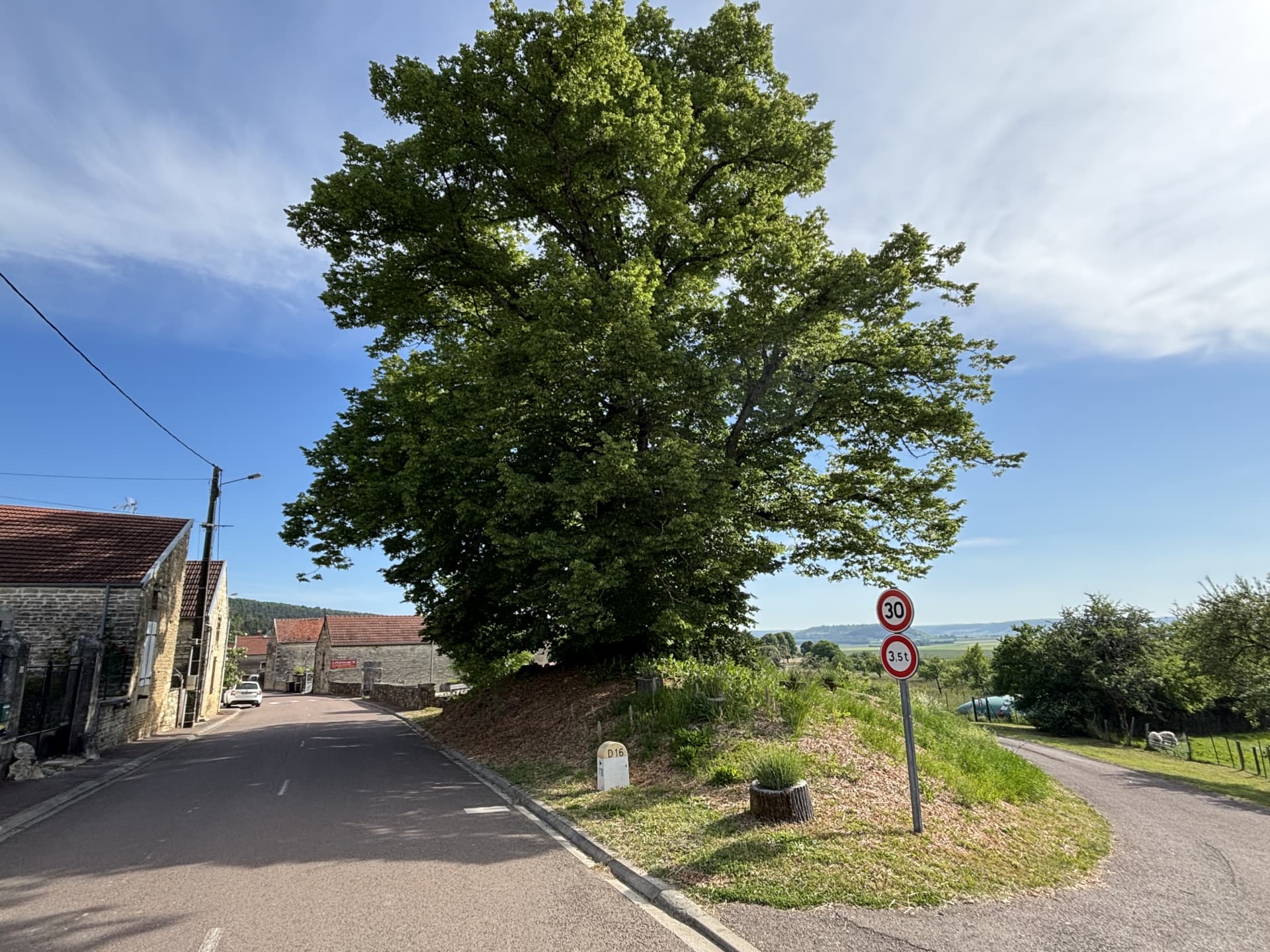 Main image - Bourgogne