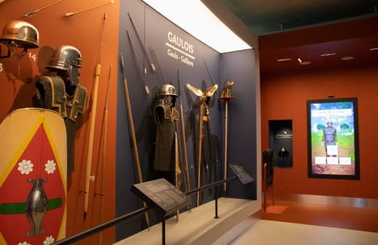 MuséoParc Alésia picture