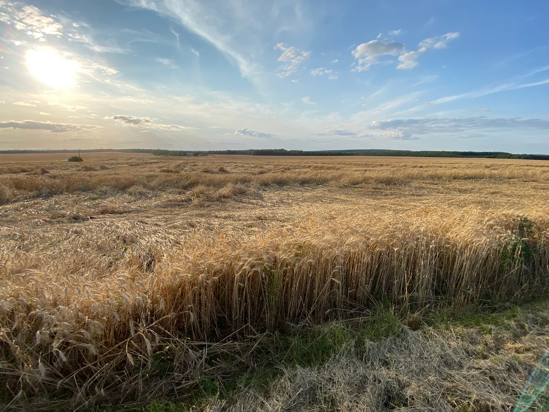 Main image - Bourgogne