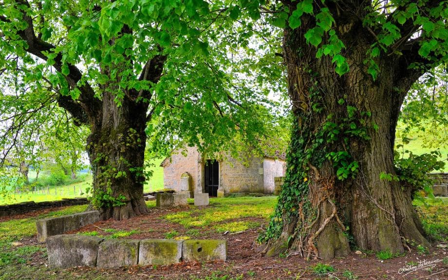 Parc Naturel du Châtillonnais  image